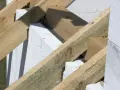 Drewniana konstrukcja dachu, widoczna murłata, białe bloczki betonu komórkowego.