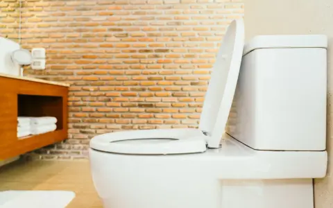 Biała miska WC z podniesioną deską, widoczna w łazience z ceglaną ścianą. Określenie jaka wysokość miski WC od podłogi jest kluczowa dla wygody.