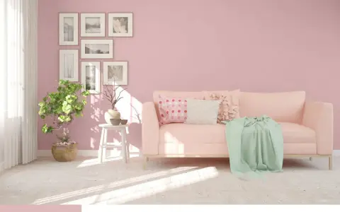 Jasnoróżowy salon z kanapą, rośliną i ramkami na ścianie.