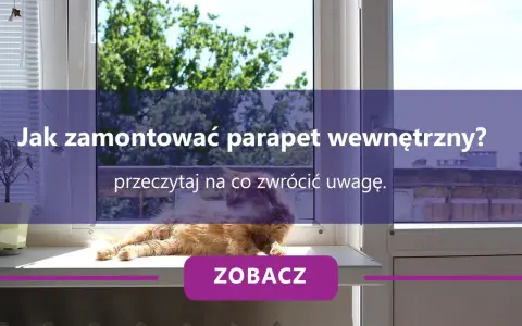 Pomarańczowy kot leży na parapecie wewnętrznym, obok rośliny.