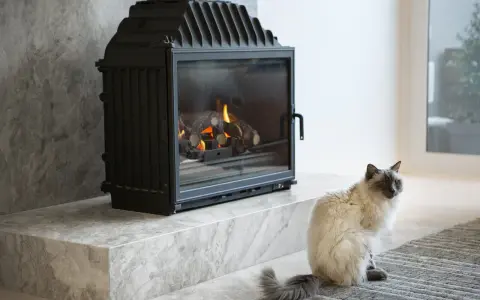 Puszysty kot siedzi obok nowoczesnego kominka, który zapewnia doprowadzenie powietrza do paleniska.