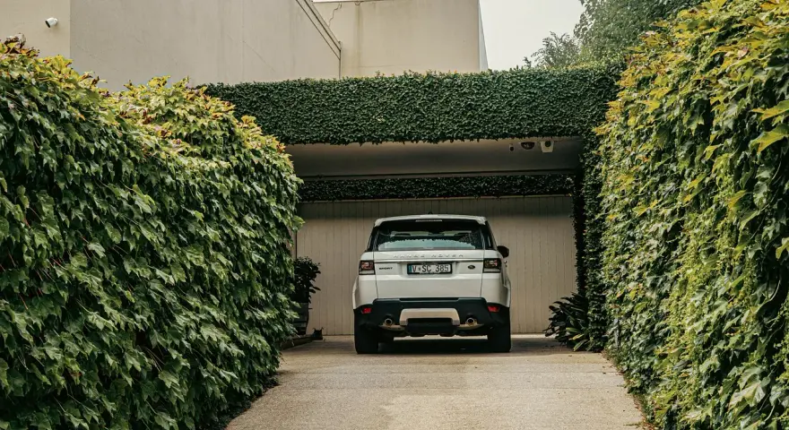 Biały Range Rover wjeżdża na podjazd otoczony bujną zielenią. Naturalna ściana z bluszczu to świetna alternatywa co zamiast kostki na podjazd.