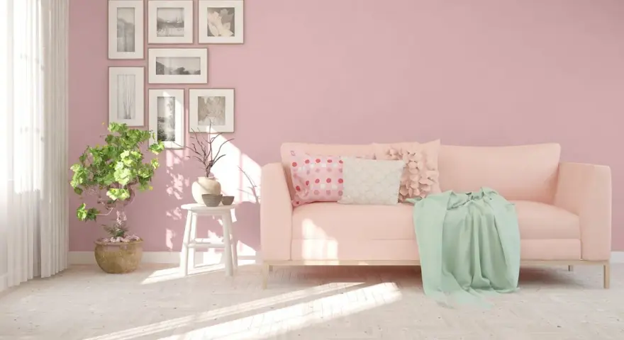 Jasnoróżowy salon z kanapą, rośliną i ramkami na ścianie.