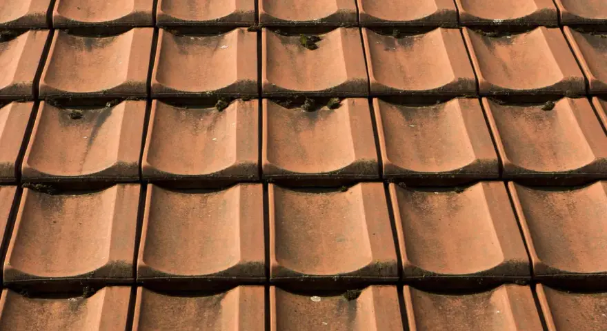 Czerwona dachówka ceramiczna, lekko porośnięta mchem. Sprawdź aktualną dachówka ceramiczna cena za m2.